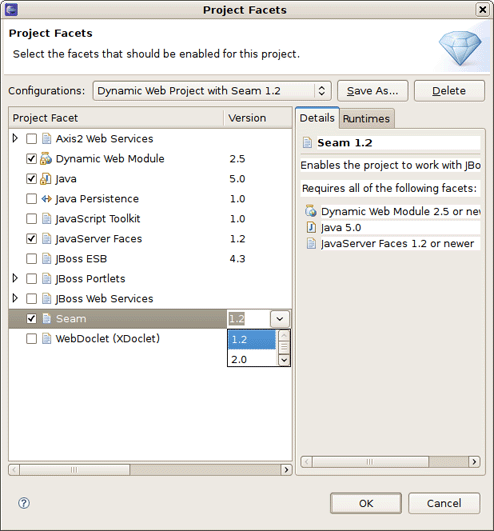 Project Facets Selection