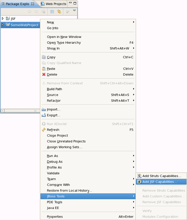 Adding JSF Capabilities