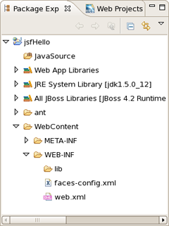 Package Explorer View