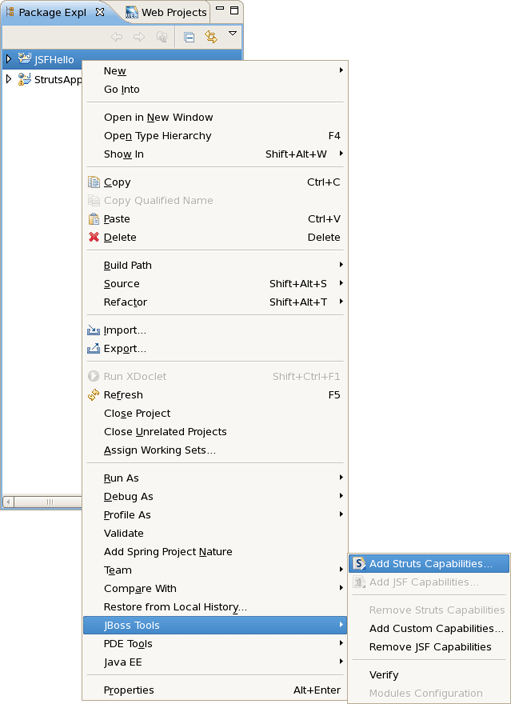 Adding Struts Capabilities