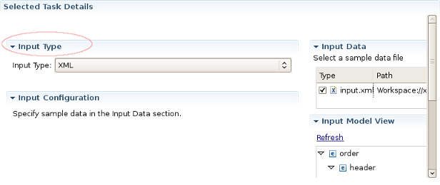 Selected Task Details Section for Input XML Task.