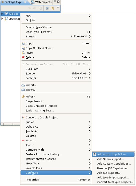 Adding Struts Capabilities