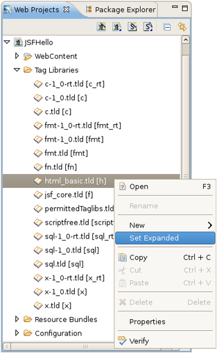 Expanding Tag Library File