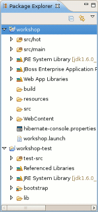 "worskhop" Project in the Package Explorer