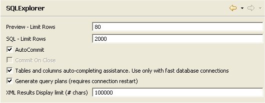 SQL Explorer Preferences Panel
