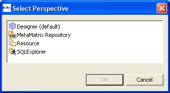 Select Perspective Dialog