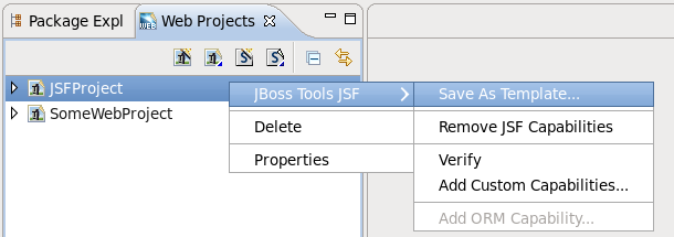 Saving Your Project as Template