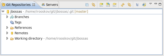 The cloned Git Repository is now available within your workbench.