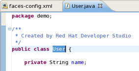 NameBean Java Class