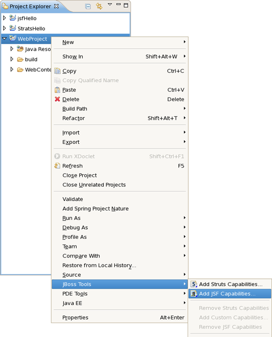 Adding JSF Capabilities