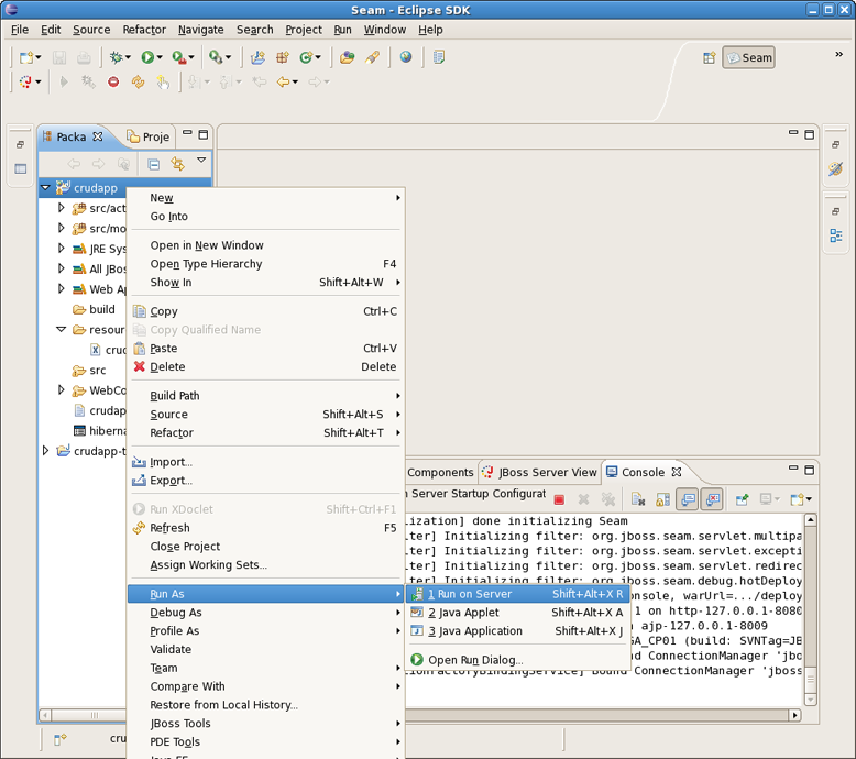 Run Project on Server