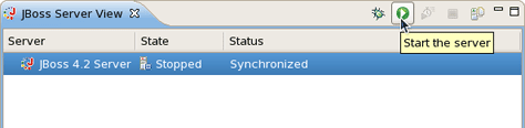 Starting the Server