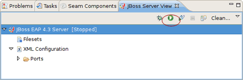 Starting the Server