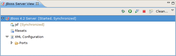 The JBoss Server View
