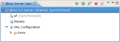 The JBoss Server View