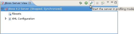 Start the Server in Profiling mode