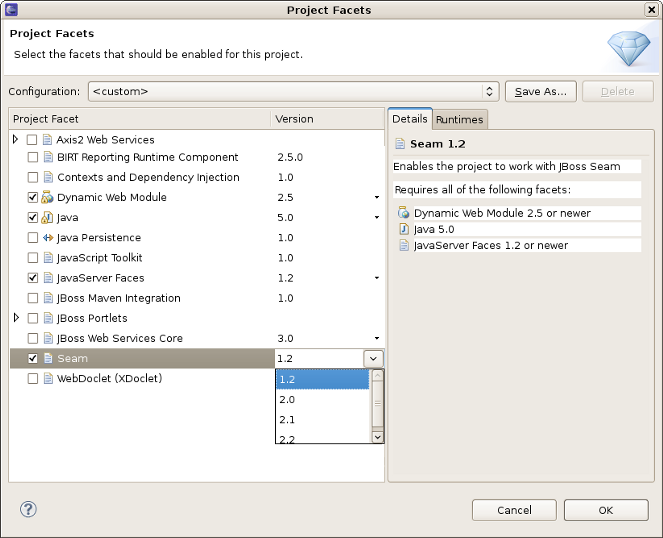 Project Facets Selection