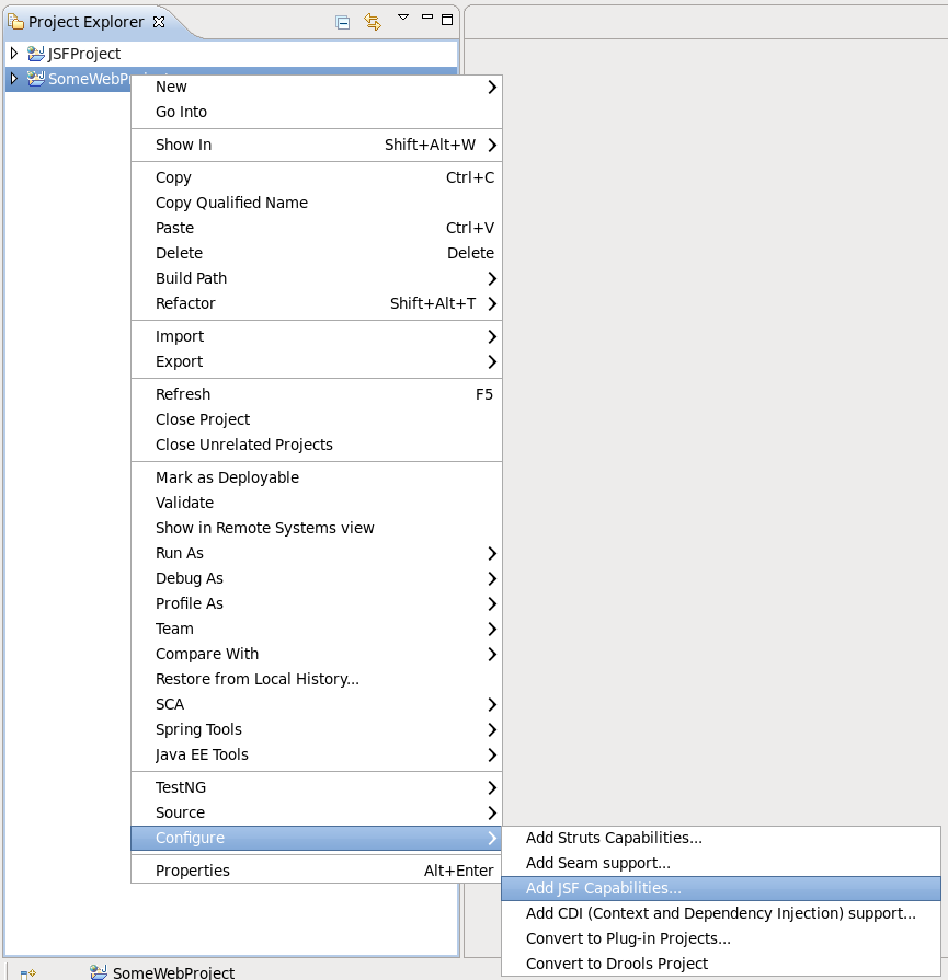 Adding JSF Capabilities