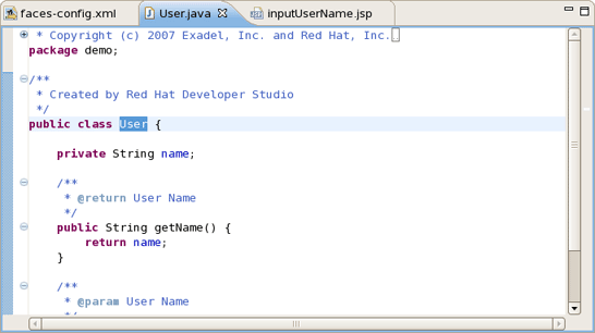 NameBean Java Class