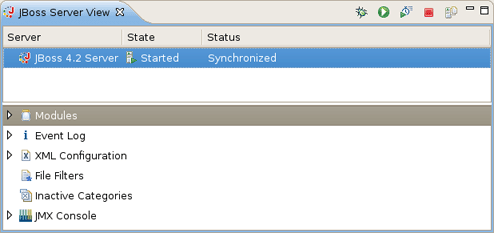 The JBoss Server View