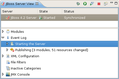 Starting the Server