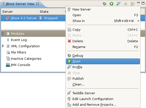 Starting from JBoss Server View