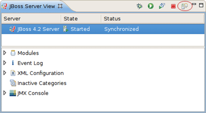 Start the Server in Profiling mode
