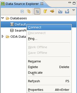 Data Source Explorer