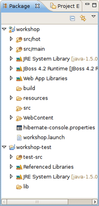 "worskhop" Project in the Package Explorer