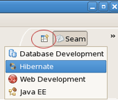 Hibernate Perspective
