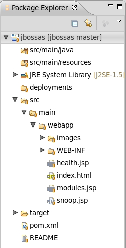 The project you just created is now available within the Package Explorer.