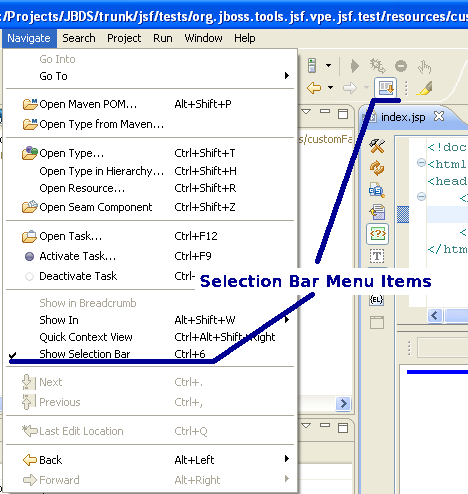 Selection Bar Controls